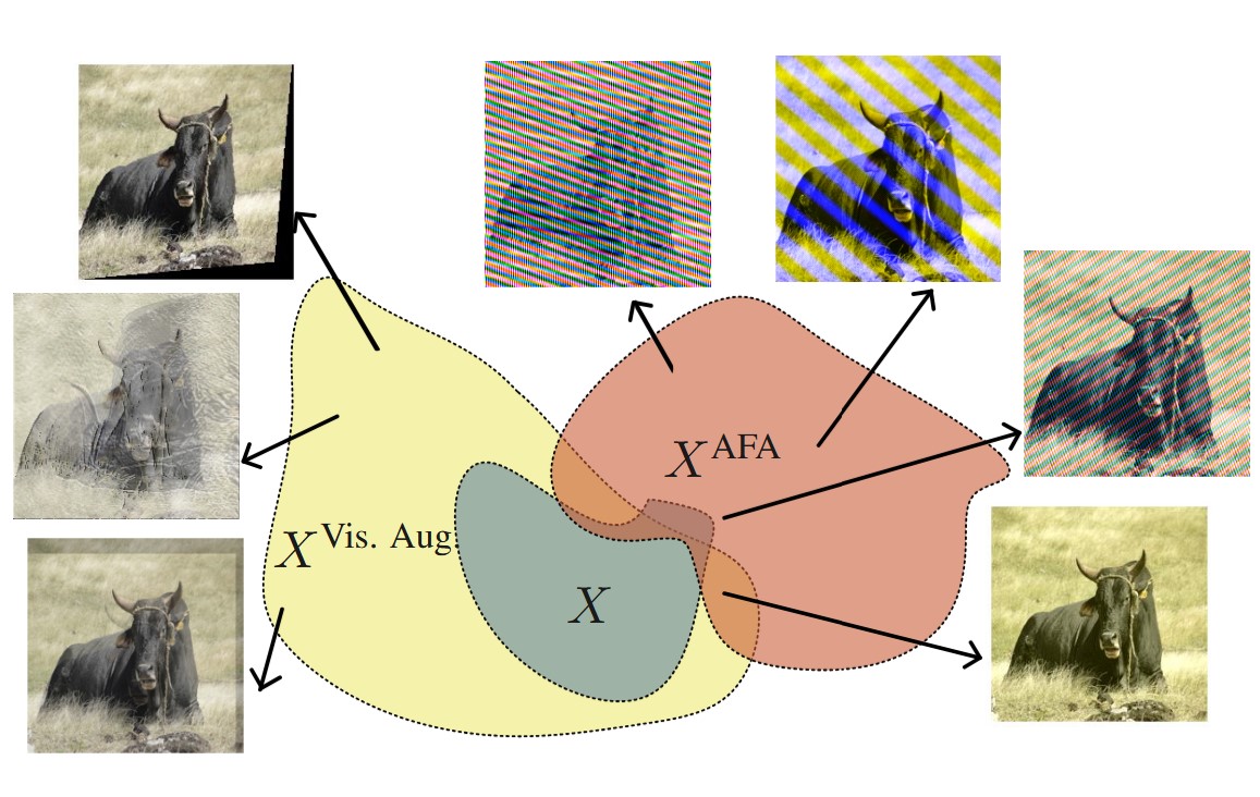 Thumbnail for Fourier-basis Functions to Bridge Augmentation Gap